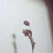 ヒメ日記 2025/08/20 23:16 投稿 たまき 京都の痴女鉄道