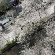 ヒメ日記 2026/04/04 23:56 投稿 たまき 京都の痴女鉄道