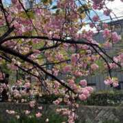 ヒメ日記 2026/04/19 17:36 投稿 たまき 京都の痴女鉄道