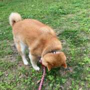 ヒメ日記 2025/05/19 16:47 投稿 れな 名古屋デッドボール