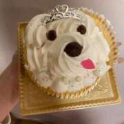 ヒメ日記 2025/12/22 11:48 投稿 みさき 新妻物語