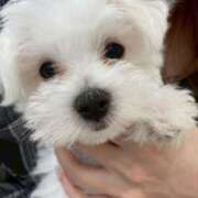 ヒメ日記 2026/01/14 13:00 投稿 みさき 新妻物語