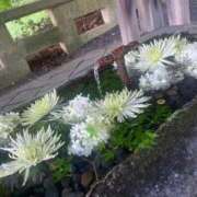 ヒメ日記 2026/01/14 13:38 投稿 みさき 新妻物語