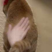 ヒメ日記 2025/07/13 10:46 投稿 しゅうか キスMy