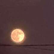 ヒメ日記 2026/07/12 09:40 投稿 しゅうか キスMy