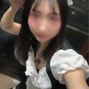 ヒメ日記 2025/12/10 15:05 投稿 すみれ 丸の内