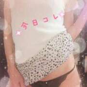 ヒメ日記 2025/05/29 11:30 投稿 いと 奥鉄オクテツ東京店（デリヘル市場）