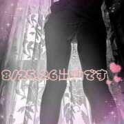 ヒメ日記 2025/08/23 23:10 投稿 いと 奥鉄オクテツ東京店（デリヘル市場）