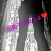 ヒメ日記 2025/09/16 22:00 投稿 いと 奥鉄オクテツ東京店（デリヘル市場）