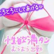 ヒメ日記 2025/07/27 09:30 投稿 あさひ ふぞろいの人妻たち