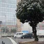 ヒメ日記 2026/02/08 10:00 投稿 あさひ ふぞろいの人妻たち