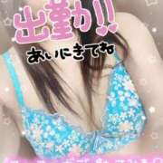 ヒメ日記 2026/04/27 11:20 投稿 あさひ ふぞろいの人妻たち