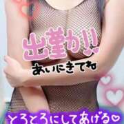 ヒメ日記 2026/07/06 11:51 投稿 あさひ ふぞろいの人妻たち