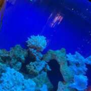 ヒメ日記 2025/08/31 22:00 投稿 坂戸 えむ 30代40代50代と遊ぶなら博多人妻専科24時