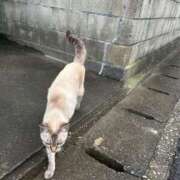 ヒメ日記 2025/09/04 12:01 投稿 坂戸 えむ 30代40代50代と遊ぶなら博多人妻専科24時