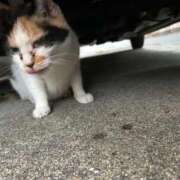 ヒメ日記 2025/09/12 18:01 投稿 坂戸 えむ 30代40代50代と遊ぶなら博多人妻専科24時