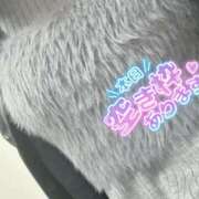 ヒメ日記 2025/11/15 15:08 投稿 坂戸 えむ 30代40代50代と遊ぶなら博多人妻専科24時