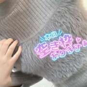 ヒメ日記 2025/11/23 12:04 投稿 坂戸 えむ 30代40代50代と遊ぶなら博多人妻専科24時