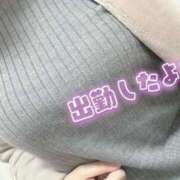 ヒメ日記 2026/01/25 09:36 投稿 坂戸 えむ 30代40代50代と遊ぶなら博多人妻専科24時