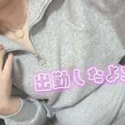 ヒメ日記 2026/04/19 09:27 投稿 坂戸 えむ 30代40代50代と遊ぶなら博多人妻専科24時