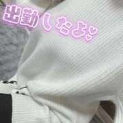 ヒメ日記 2026/04/26 11:05 投稿 坂戸 えむ 30代40代50代と遊ぶなら博多人妻専科24時