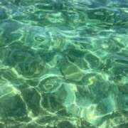 ヒメ日記 2025/08/21 10:34 投稿 飯島 かえ 人妻の雫 倉敷店