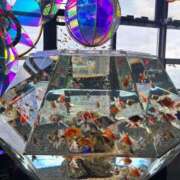 ヒメ日記 2026/02/16 08:46 投稿 飯島 かえ 人妻の雫 倉敷店