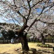 ヒメ日記 2026/03/22 08:36 投稿 飯島 かえ 人妻の雫 倉敷店