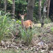 ヒメ日記 2026/07/04 08:06 投稿 飯島 かえ 人妻の雫 倉敷店