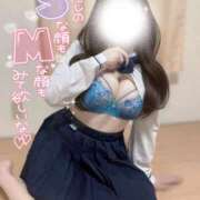 ヒメ日記 2025/09/17 07:15 投稿 みお Masquerade(マスカレード)