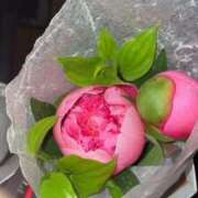 ヒメ日記 2025/05/22 18:38 投稿 あいら 性の極み 技の伝道師　五反田店