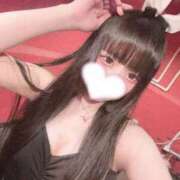 ヒメ日記 2025/06/19 17:12 投稿 リリ バニーコレクション秋田店