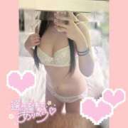 ヒメ日記 2025/08/14 12:12 投稿 リリ バニーコレクション秋田店