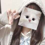 ヒメ日記 2026/04/06 07:20 投稿 リエ ファーストレディー