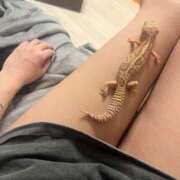 ヒメ日記 2025/05/18 22:21 投稿 ひらり（極上SPコース対応） LIGHT（ライト）～光が導く無限の可能性～