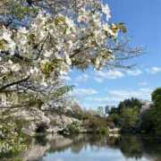 ヒメ日記 2026/03/10 23:49 投稿 にな 渋谷じゃっくす