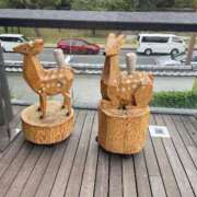 ヒメ日記 2025/06/11 00:00 投稿 さり The White