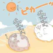 ヒメ日記 2025/12/10 12:11 投稿 さり The White