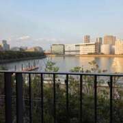 さり 🐱🌻 The White