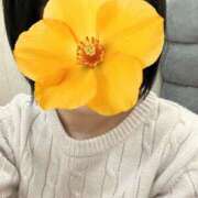 ヒメ日記 2025/06/05 16:07 投稿 うみ 制服向上委員会