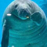 ヒメ日記 2025/06/23 16:47 投稿 うみ 制服向上委員会