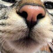 ヒメ日記 2025/07/04 16:27 投稿 うみ 制服向上委員会