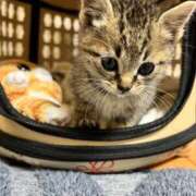 ヒメ日記 2025/07/06 02:10 投稿 うみ 制服向上委員会