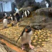 ヒメ日記 2025/07/19 02:53 投稿 うみ 制服向上委員会