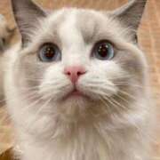 ヒメ日記 2025/08/02 13:24 投稿 うみ 制服向上委員会