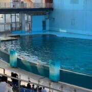 ヒメ日記 2025/08/14 03:53 投稿 うみ 制服向上委員会