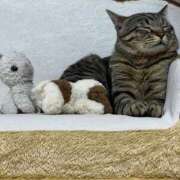 ヒメ日記 2025/08/16 04:42 投稿 うみ 制服向上委員会