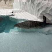 ヒメ日記 2025/08/23 04:00 投稿 うみ 制服向上委員会