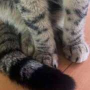 ヒメ日記 2025/08/26 04:08 投稿 うみ 制服向上委員会