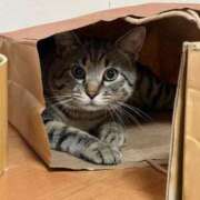 ヒメ日記 2025/08/31 21:52 投稿 うみ 制服向上委員会